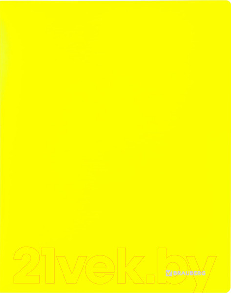Изображение товара Папка для бумаг Brauberg Neon / 227465 (желтый)