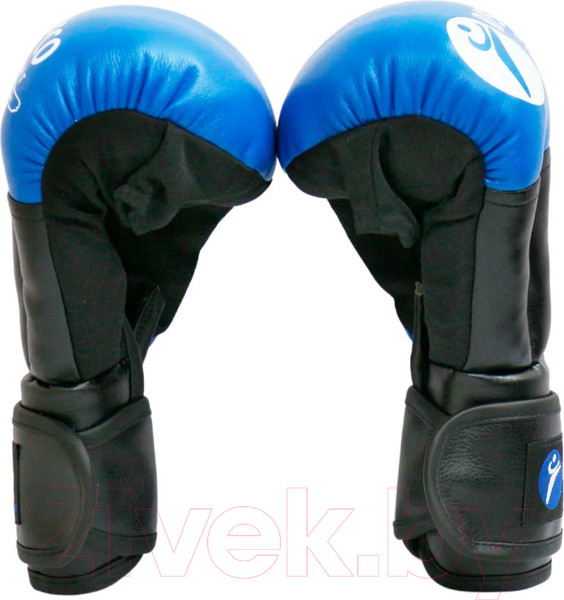 Изображение товара Перчатки для рукопашного боя RuscoSport 4oz (синий)