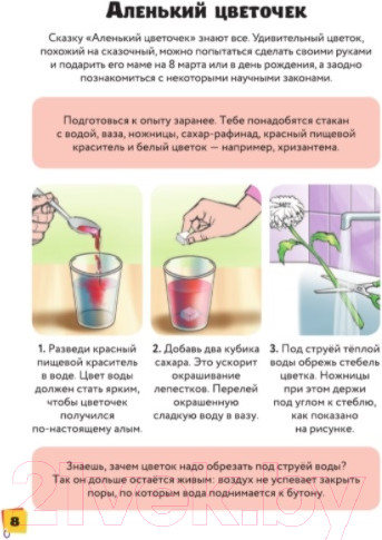 Изображение товара Развивающая книга АСТ Занимательные опыты и эксперименты (Прудник А.А., Аниашвили К.С.)