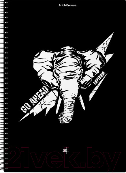 Изображение товара Тетрадь Erich Krause Go Аhead. Black and White / 54122 (80л, клетка)