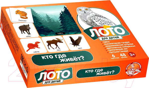 Изображение товара Развивающая игра Десятое королевство Кто где живет? / 00078