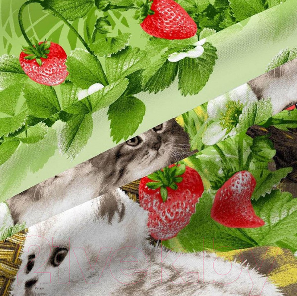 Изображение товара Комплект постельного белья ВАСИЛИСА Котята 2.0 209769 / 269304