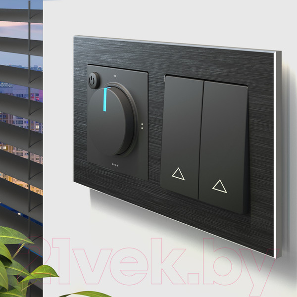 Изображение товара Выключатель Werkel W1124508 / a051607 (черный)