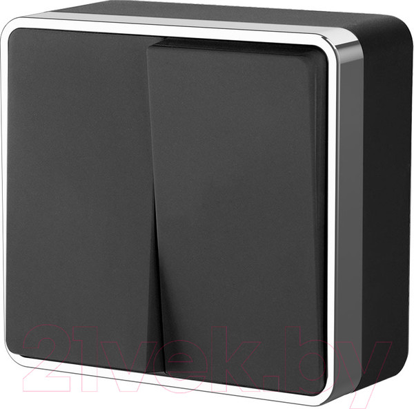 Изображение товара Выключатель Werkel Gallant W5020035 / a050972 (черный/хром)