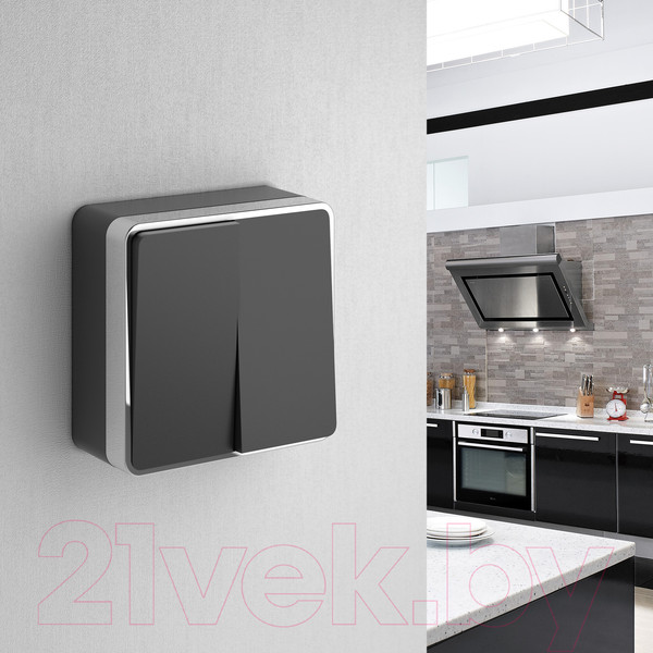 Изображение товара Выключатель Werkel Gallant W5020035 / a050972 (черный/хром)