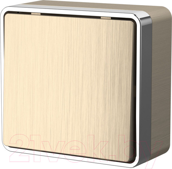 Изображение товара Выключатель Werkel Gallant W5010010 / a051039 (шампань рифленый)
