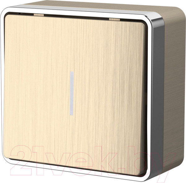 Изображение товара Выключатель Werkel Gallant W5010110 / a051042 (шампань рифленый)