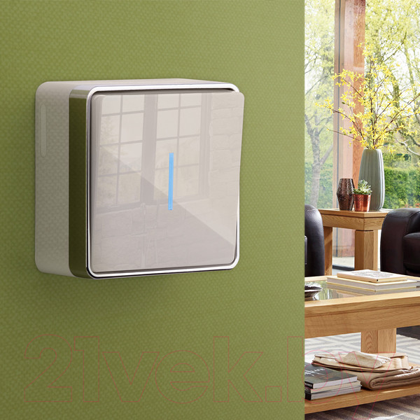 Изображение товара Выключатель Werkel Gallant W5010103 / a051542 (слоновая кость)