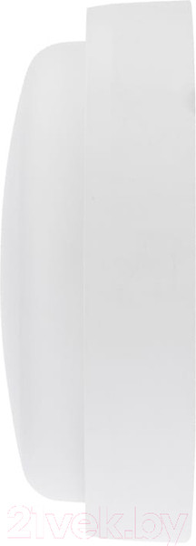 Изображение товара Светильник ЖКХ Rexant 607-202