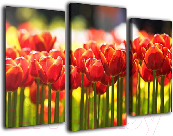 Изображение товара Картина модульная Arthata m-000510 (75x50)