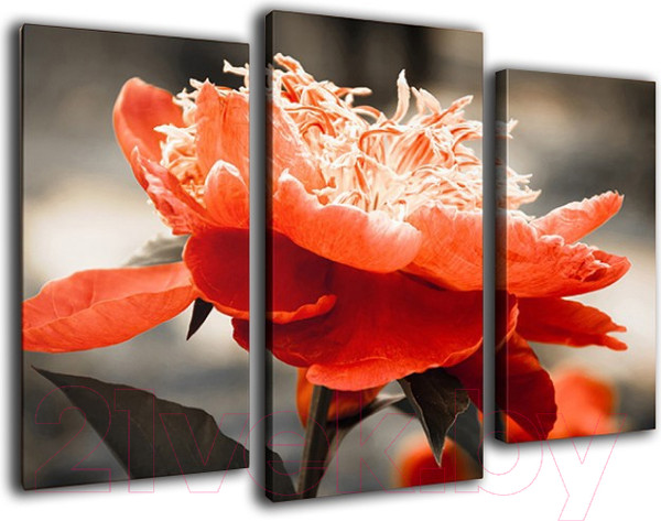 Изображение товара Картина модульная Arthata m-000511 (90x60)