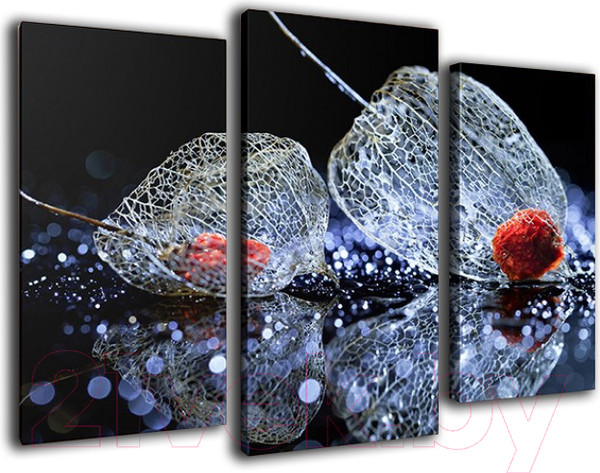 Изображение товара Картина модульная Arthata m-000513 (90x60)