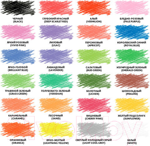 Изображение товара Набор цветных карандашей Brauberg Premium / 181663 (24цв)