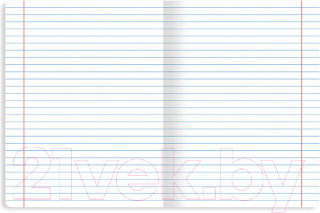 Изображение товара Набор тетрадей Brauberg 404031 (10шт)