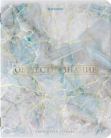 Изображение товара Набор тетрадей Brauberg 404031 (10шт)