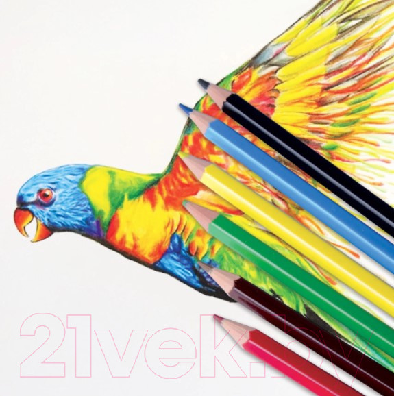 Изображение товара Набор цветных карандашей Пифагор Жираф /181249 (6шт)