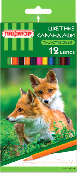 Изображение товара Набор цветных карандашей Пифагор Лесные Жители/ 181334 (12шт)