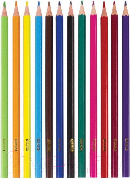 Изображение товара Набор цветных карандашей Пифагор Лесные Жители/ 181334 (12шт)