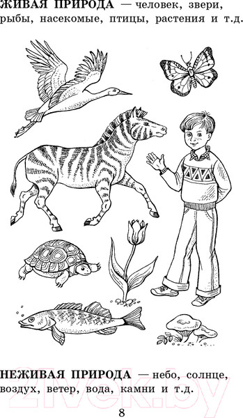 Изображение товара Учебное пособие АСТ 1000 упражнений для подготовки к школе (Узорова О.В., Нефедова Е.)