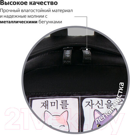 Изображение товара Рюкзак Brauberg Friendly cats / 229965