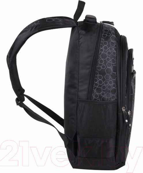 Изображение товара Рюкзак Brauberg Стихия / 225289