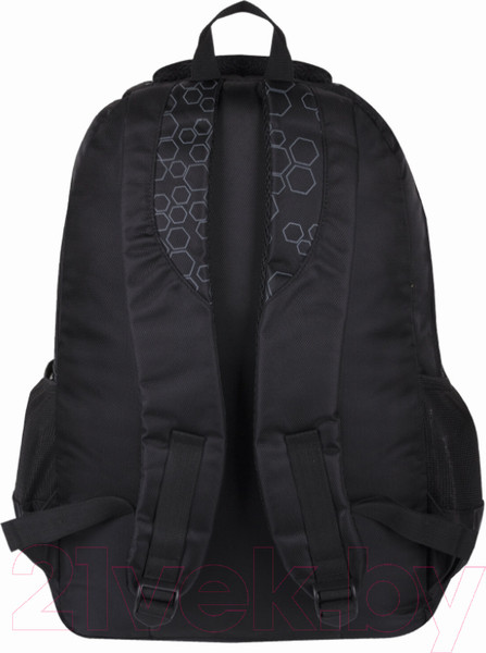 Изображение товара Рюкзак Brauberg Стихия / 225289