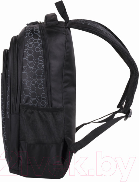 Изображение товара Рюкзак Brauberg Стихия / 225289