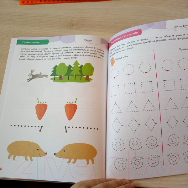 Изображение товара Книга Эксмо Готовимся к обучению в школе правильно! 5-7 лет (Янушко Е.)