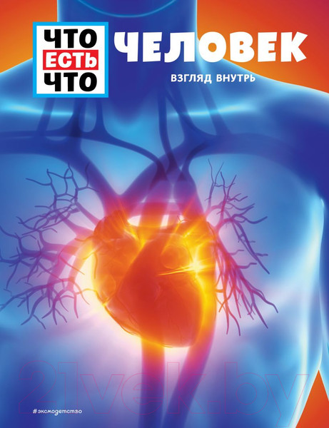 Изображение товара Энциклопедия Эксмо Человек. Взгляд внутрь (Рахлей С.)