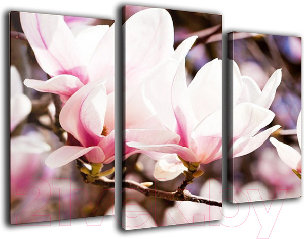 Изображение товара Картина модульная Arthata m-000516 (120x80)