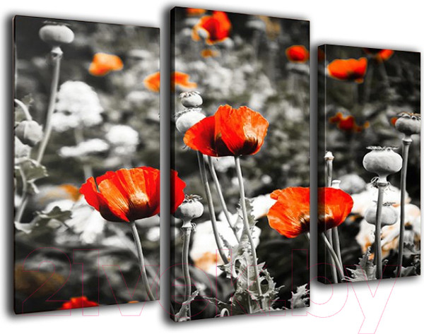 Изображение товара Картина модульная Arthata m-000519 (90x60)