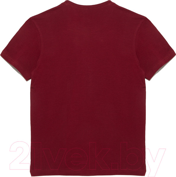 Изображение товара Футболка Alfa Man 6600 (р-р 170-176/100, бордовый)