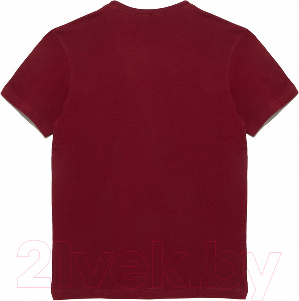 Изображение товара Футболка Alfa Man 6600 (р-р 176-104, бордовый)