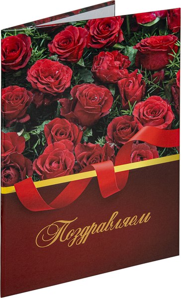 Изображение товара Папка адресная Staff Profit Поздравляем / 129585