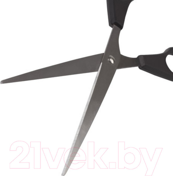 Изображение товара Ножницы канцелярские Staff Basic / 236939