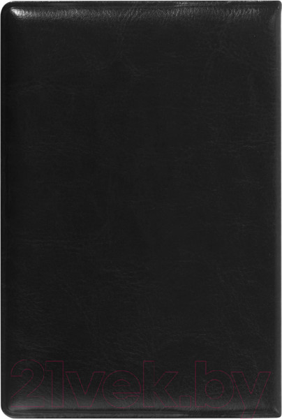 Изображение товара Обложка на паспорт Staff Паспорт / 237599 (черный)