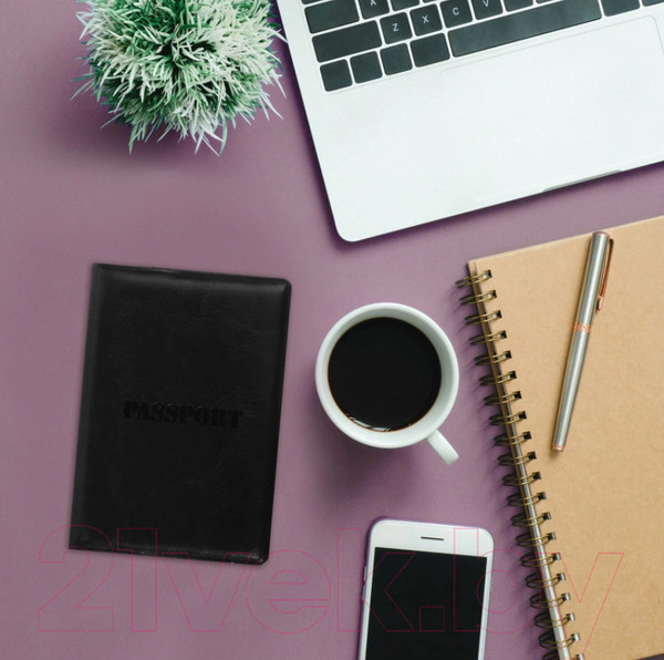 Изображение товара Обложка на паспорт Staff Паспорт / 237599 (черный)