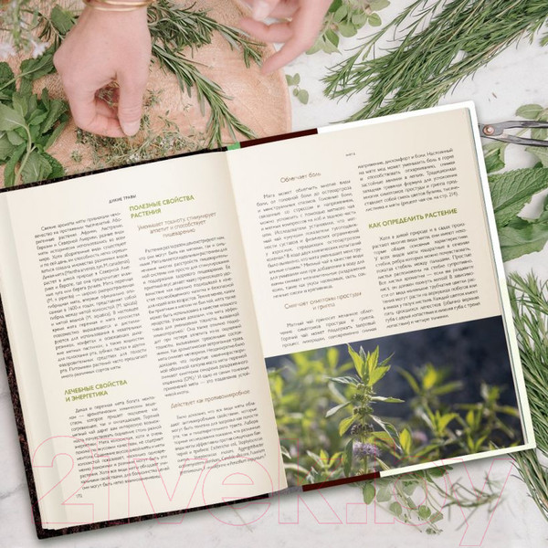 Изображение товара Книга Эксмо Дикие травы: как найти целебные продукты (Розали де ла Форе)