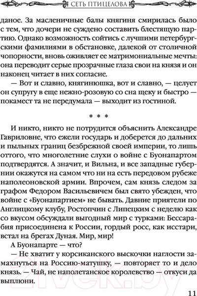 Изображение товара Книга Эксмо Интеллектуальный детектив. Сеть птицелова (Дезомбре Д.)