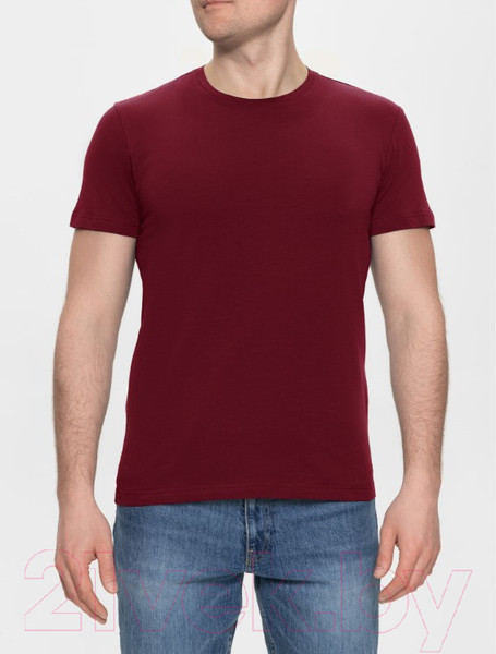 Изображение товара Футболка Alfa Man 6600 (р-р 170-176/92, бордовый)