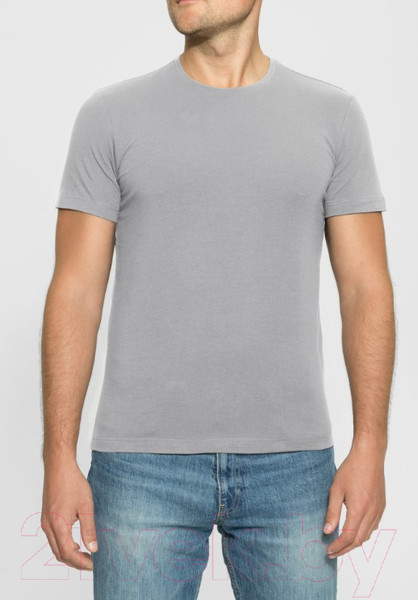 Изображение товара Футболка Alfa Man 6600 (р-р 182-188/100, светло-серый)