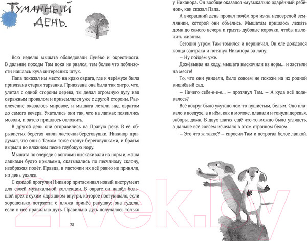 Изображение товара Книга МИФ Мышонок, который Там (Коваленкова А.)