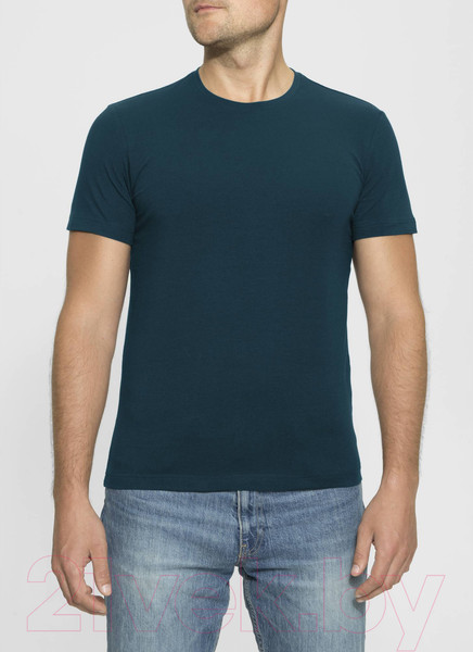 Изображение товара Футболка Alfa Man 6600 (р-р 188-96, аквамарин)