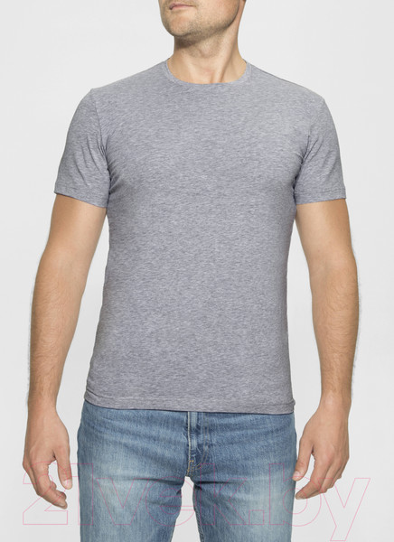 Изображение товара Футболка Alfa Man 6603 (р.176-92, светло-серый меланж)