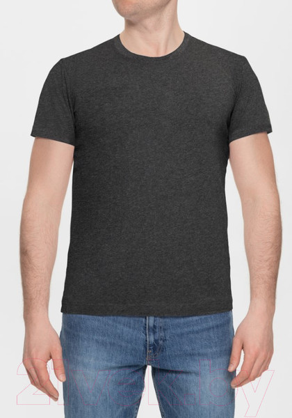 Изображение товара Футболка Alfa Man 6603 (р-р 170-176/96, графит меланж)