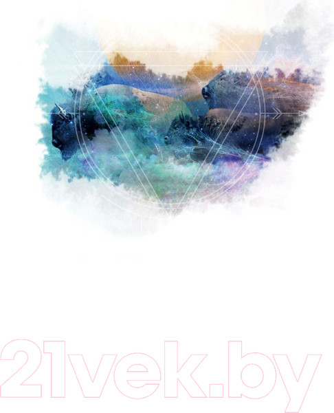 Изображение товара Книга Эксмо Оракул Шамана-мистика (Виллолдо П., Барон-Рид К., Лобос М.)