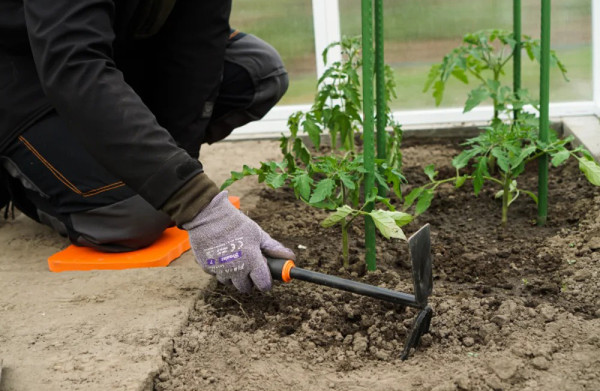 Изображение товара Мотыга ручная Bradas De Luxe / KT-Y6005