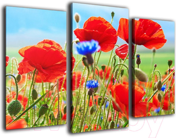 Изображение товара Картина модульная Arthata m-000520 (75x50)