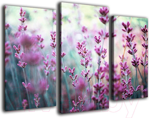 Изображение товара Картина модульная Arthata m-000524 (90x60)