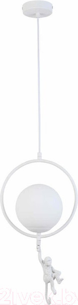 Изображение товара Потолочный светильник Evoluce Tenato SLE115113-01